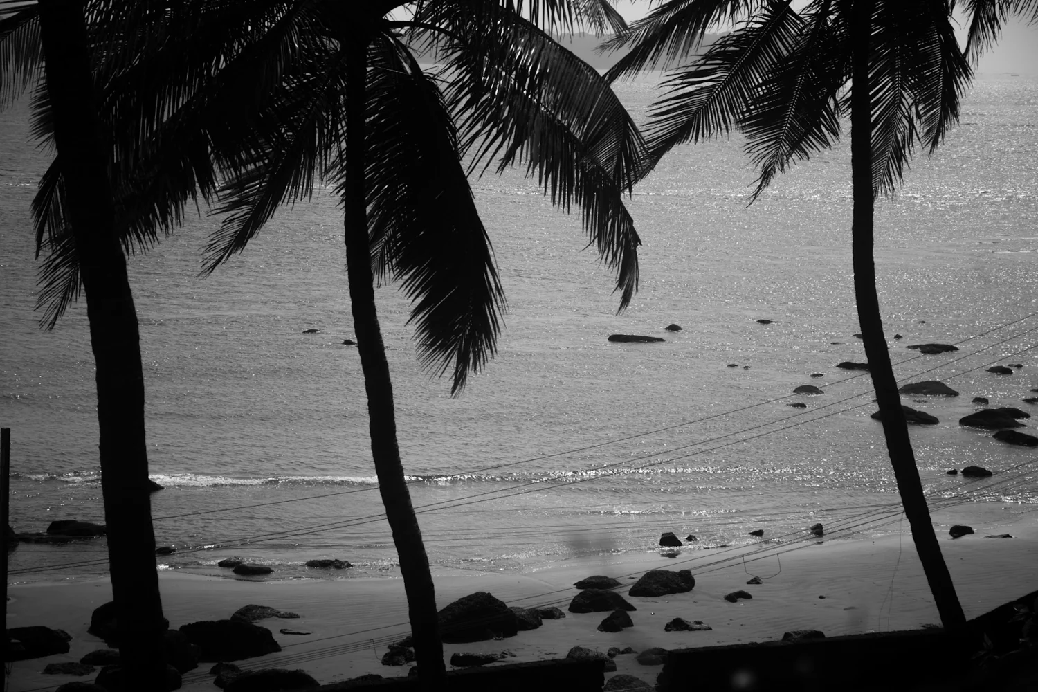 Palm trees overlooking the beach and ocean in Goa